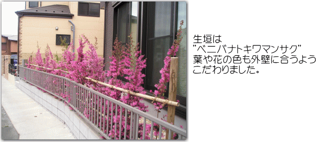 生垣は”ベニバナトキワマンサク”。葉や花の色も外壁に合うようこだわりました。