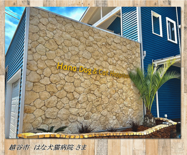 越谷市 はな犬猫病院 様　琉球石灰岩をイメージしたモルタル造形外構