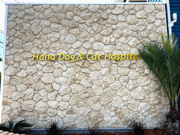 越谷市 はな犬猫病院様　琉球石灰岩をイメージしたモルタル造形外構